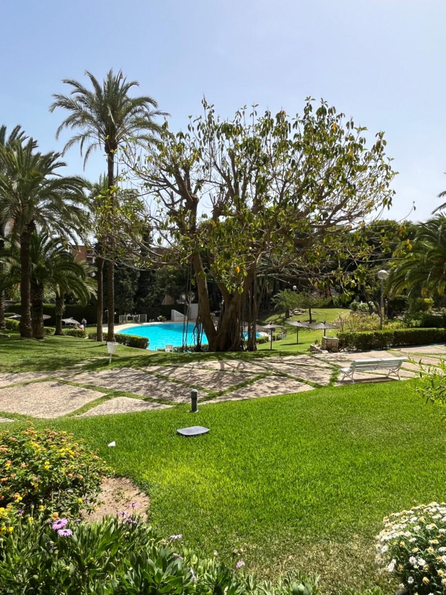 Parque La Chicharra Near Alicante And Beach Esterno foto